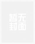赤同道合文化